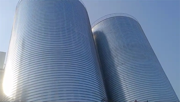 绥宁2座混凝土高架卷板仓